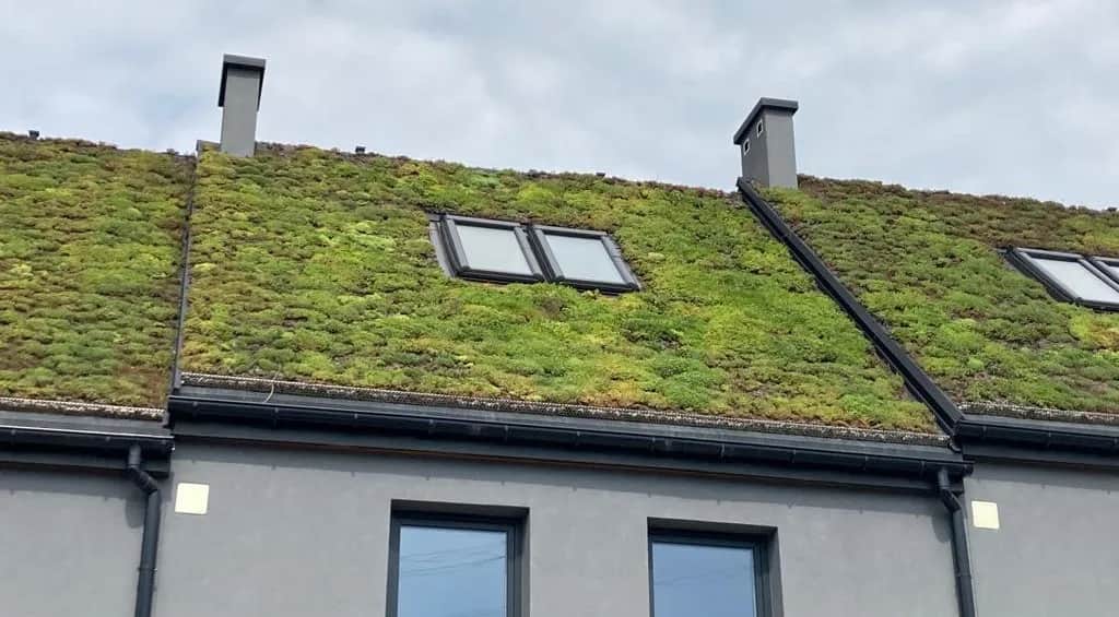 Zielone dachy: Nowoczesne rozwiązania w architekturze miejskiej