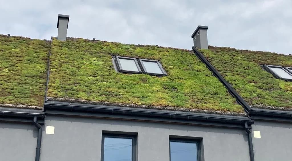 Zielone dachy: Nowoczesne rozwiązania w architekturze miejskiej