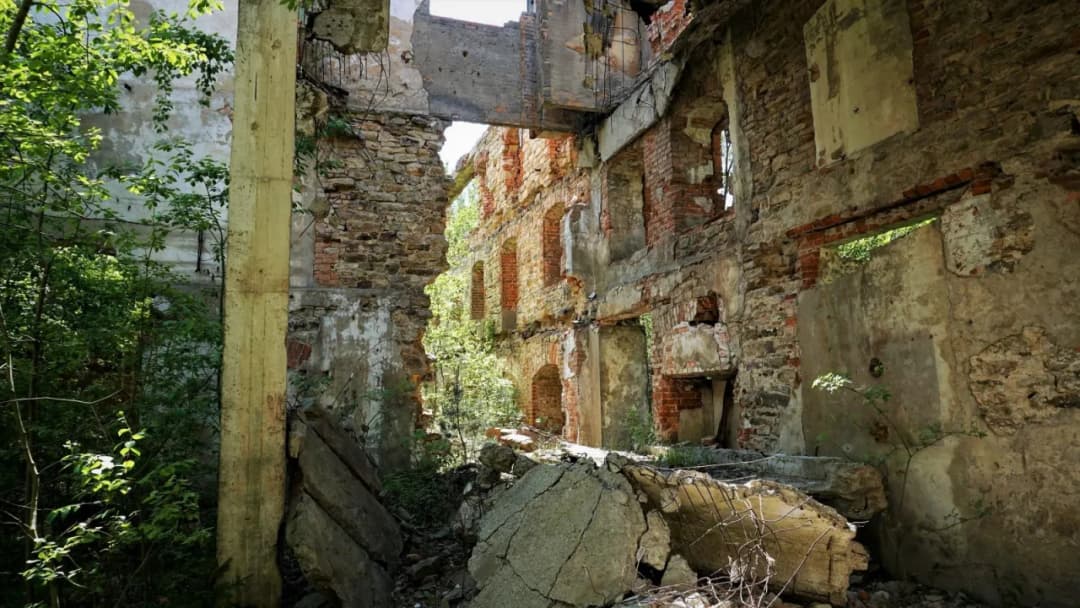 Architektura w filmach: Wpływ na osiedla jak Naramowice